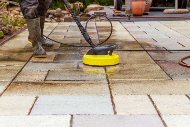Best Solar Panel Cleaning  in Old River Winfree, TX