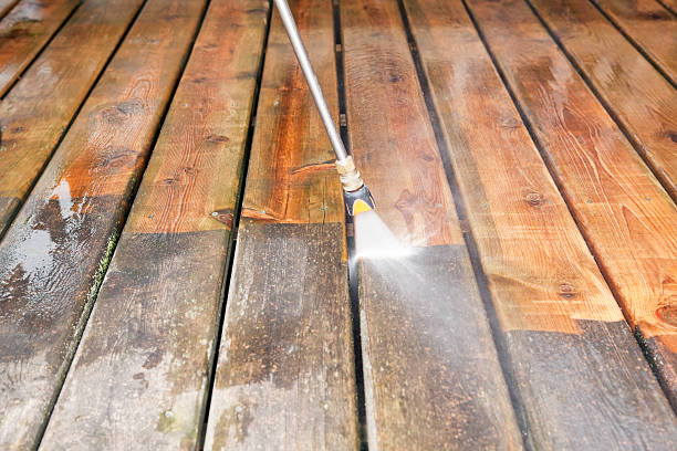 Best Roof Washing  in Old River Winfree, TX
