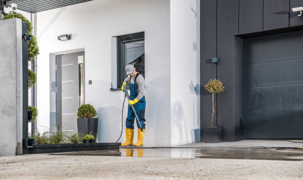 Best Soft Washing  in Old River Winfree, TX